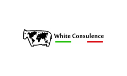 brand-whiteconsulence