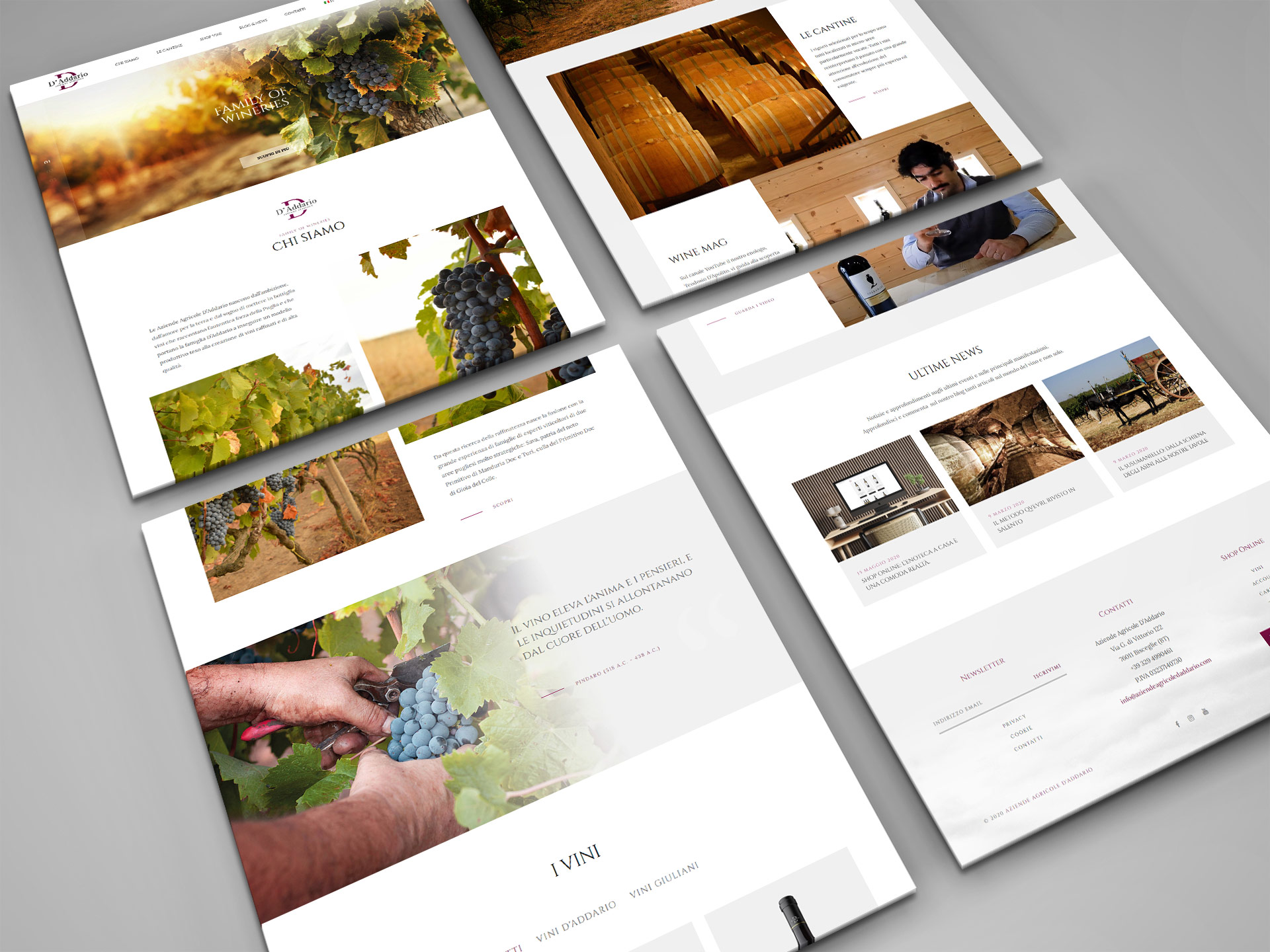 portfolio-daddario1