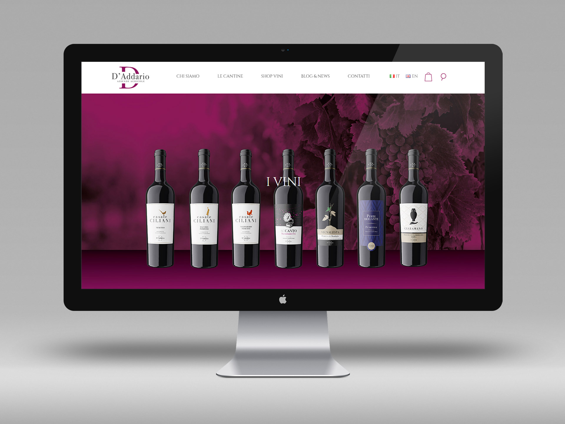 portfolio-daddario2